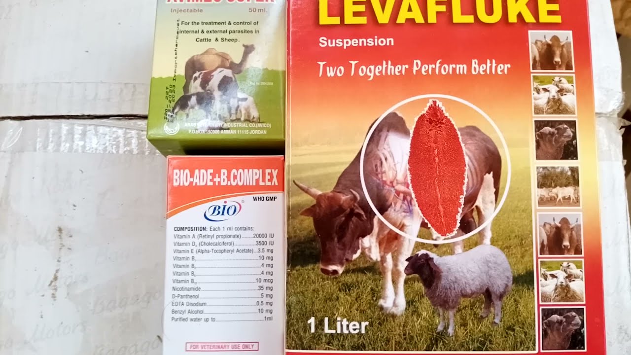 تجريعات الديدان الأساسية للماعز والأغنام وطريقة اعطائها