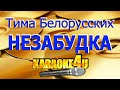 Тима Белорусских | Незабудка | Караоке (Кавер минус от RomanSam)