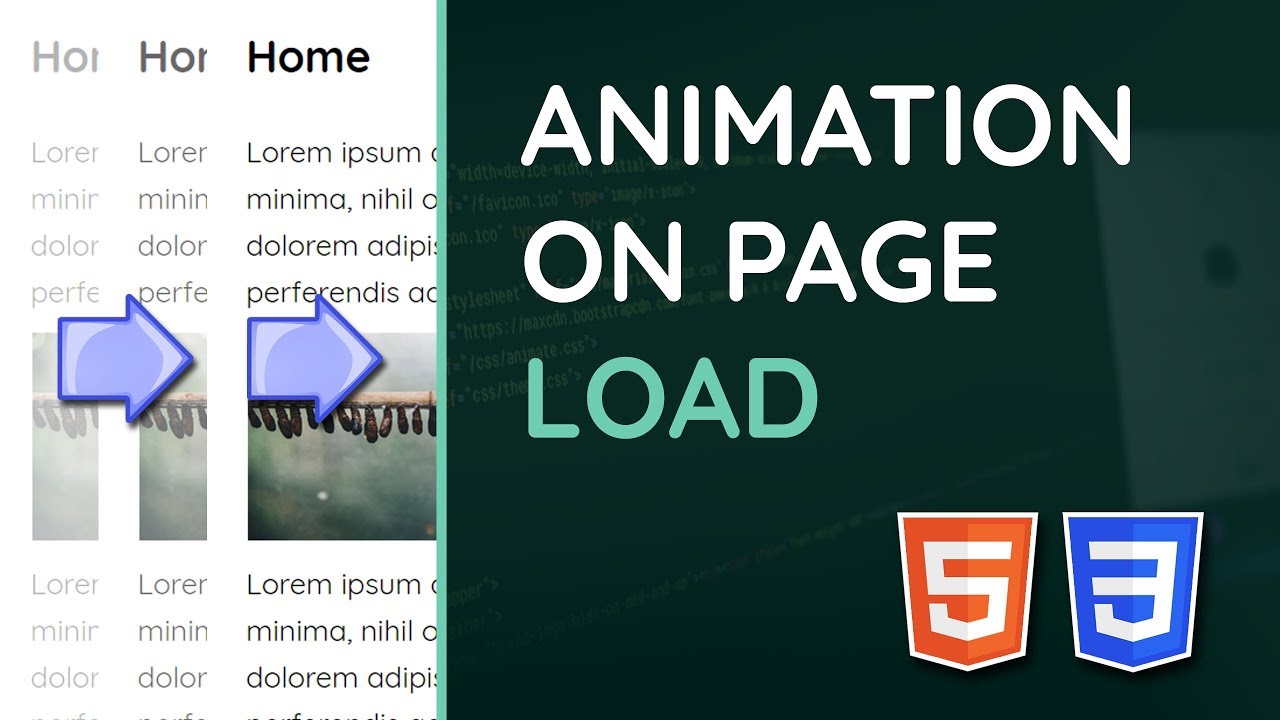 Create Transitions/Animations On Page Load With Html  Css - Web Design Tutorial