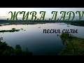 Veraslava | ЖИВА ЛАДУШКА |  песня силы | Традиции предков | славянская молитва