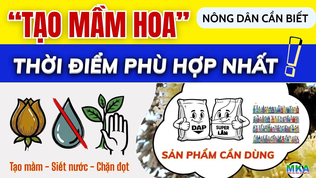 Hiểu về 