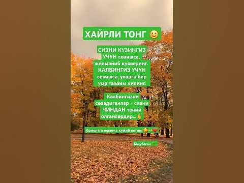 Onlayn tomosha qiling: Turli xil narsalar bilan boglangan va becerdin