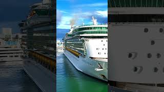 Independence of the Seas.  Royal Caribbean.