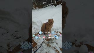:   -   12.12.2024 # # # 