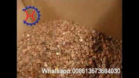 How to shell hazelnut,hazelnut cracker and sheller machine