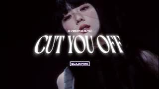 BLACKPINK - 'CUT YOU OFF' (AI ORIGINAL SONG) Prod. Lilac