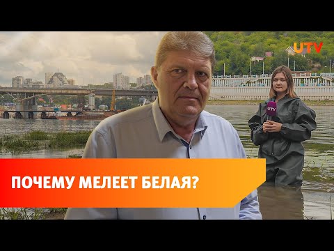Река Белая обмелела до критической отметки. Ждет ли Башкирию экологическая катастрофа?