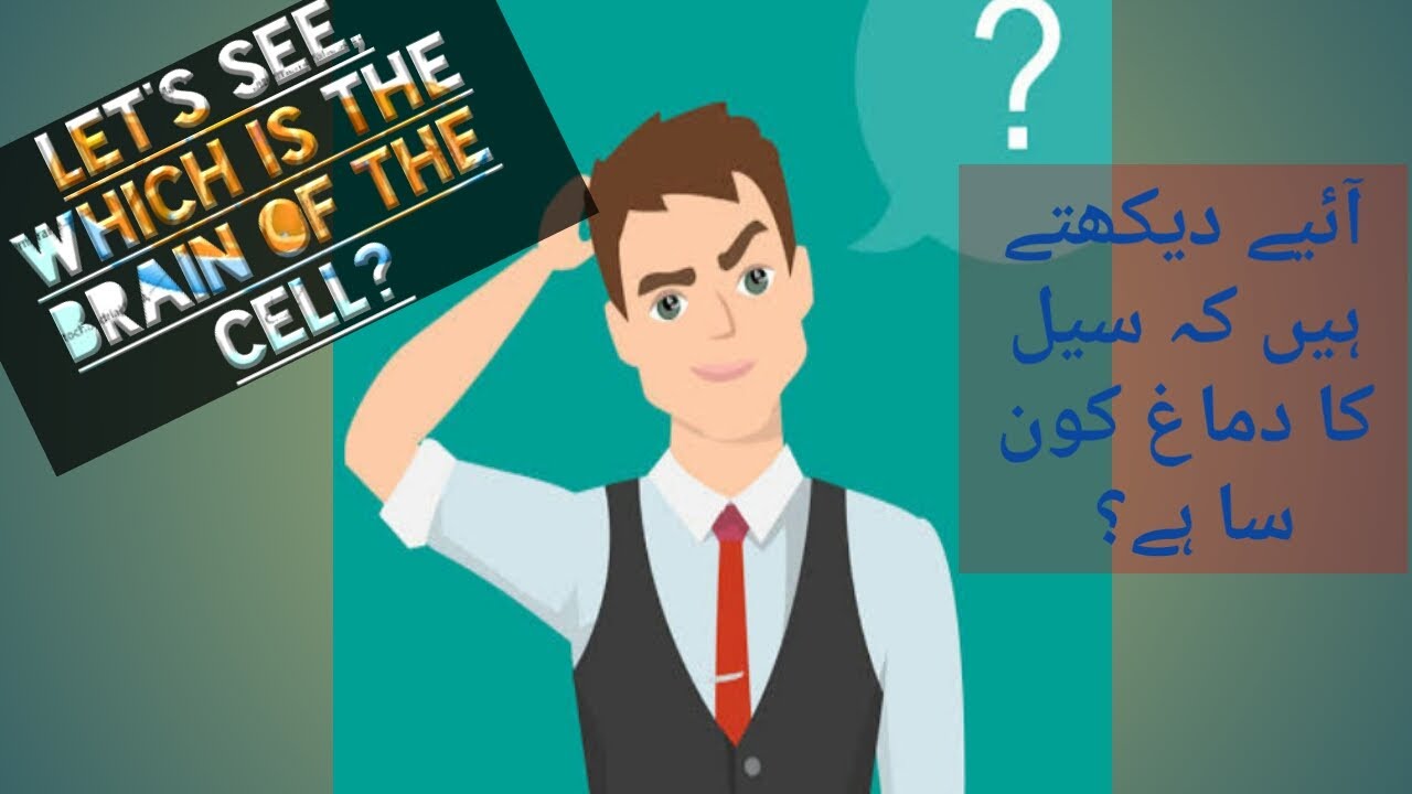 Explain Nucleus, the brain of cell|سیل کے نیو کلئیس کی وضاحت کریں