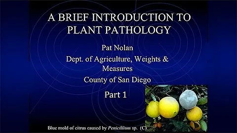 Session 6  Plant Pathology 1