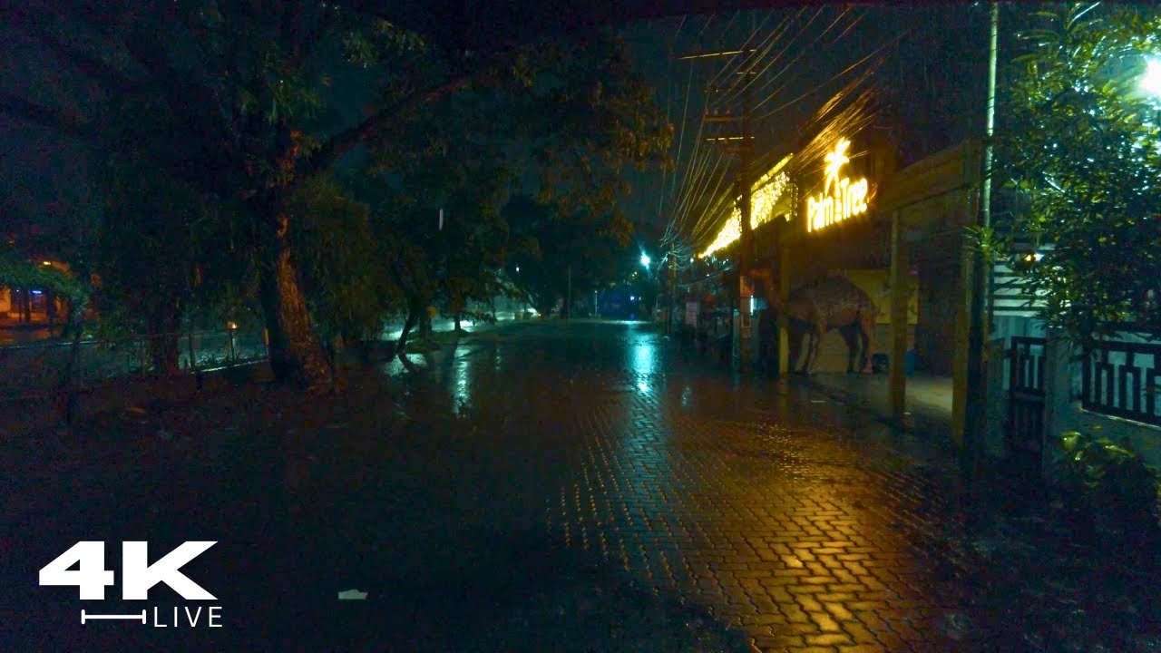 A Soothing Midnight Walk in the Rain | Peaceful Urban Night Ambience for Deep Sleep and Study
