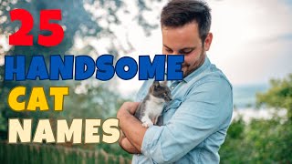 Handsome Cat Names  25 Cool & Funny Ideas | Names