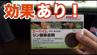 エーハイム リン酸除去剤 (3個入り/淡水・海水兼用) 2519009