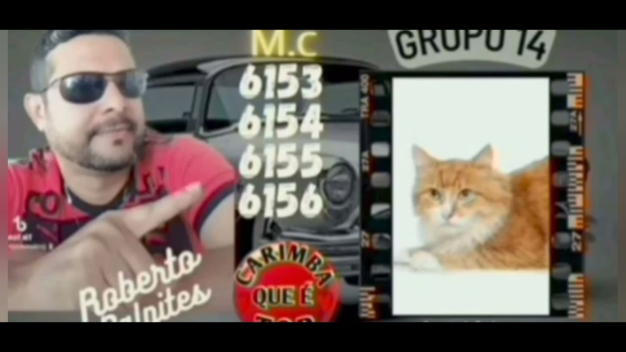 Promotor Roberto.30/12/2025.Palpites  RJ look NC SP Federal Boa sorte ☘️