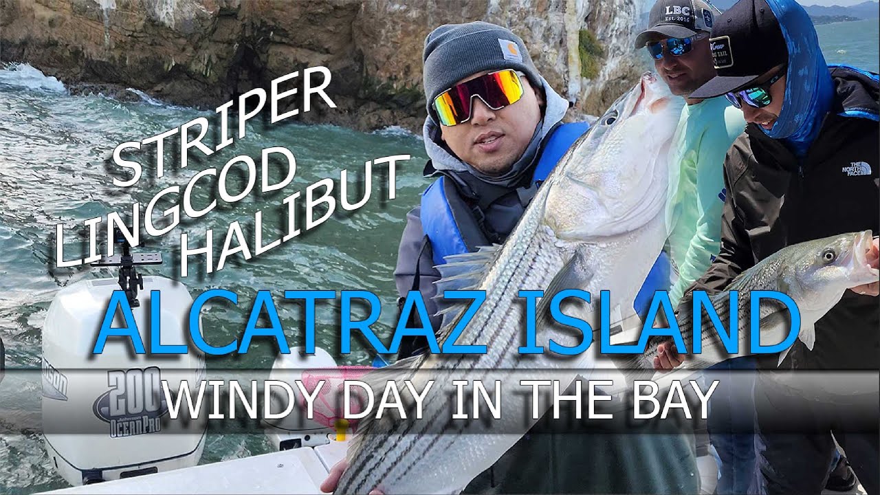 Fishing In Front Of Alcatraz Island Found Some Really Good Fish - YouTube