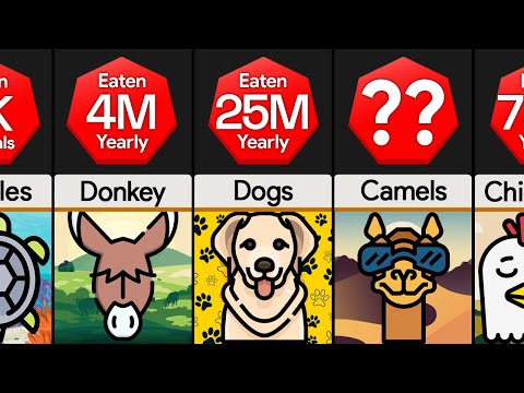 Comparison: How Many Animals Do We Eat Each Year