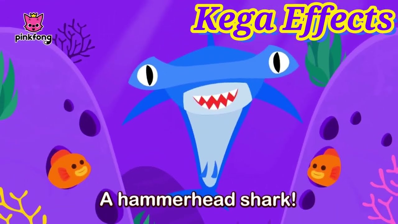 邦楽 Hammer head shark Baby Youth 邦楽 Hammer head shark Baby Youth 邦楽 Hammer head shark Baby