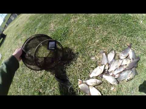 თევზაობა ტივტივაზე მანით 2017 / Рыбалка. Ловля карася на поплавочную удочку