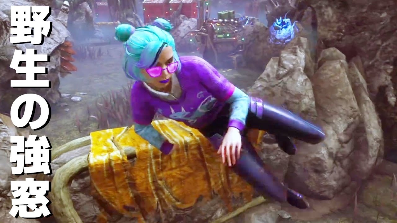 心奪われる野生の強窓から離れられない-Dead by Daylight【EXAM】