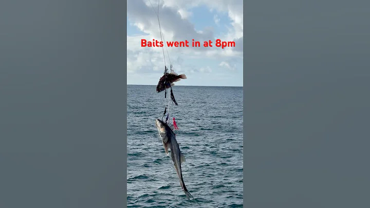 🤦‍♂️Got my gear back at least. #shorefishing #ulua #fishing #hawaii #oio #slidebait #tangled