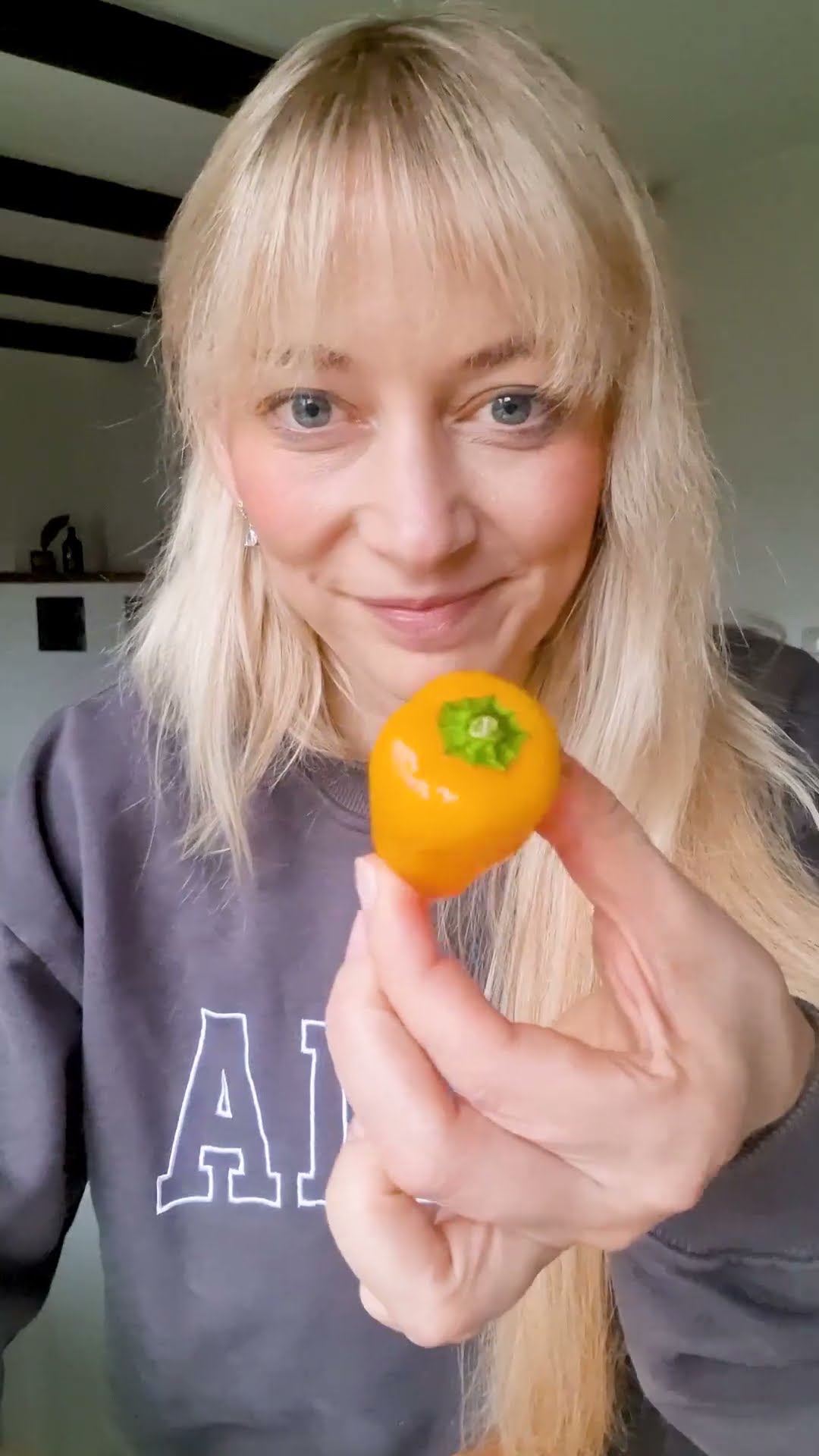 Gefüllte Mini Paprika | Kalorienarmer Snack - YouTube