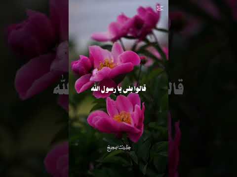 فضل التسبيح عقب كل صلاة حديث نبوي اكسبلور المصحف