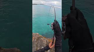 🔥 Dia Bisa Lolos Jika Dia Cukup Pintar...