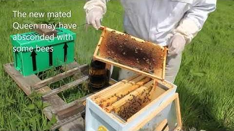 Beekeeping UK Making 3 nucleus boxes + hive  episode 2