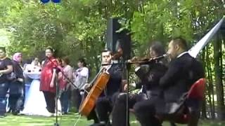 Ar Müzik Organizasyon Yünsa Kokteyli 