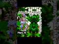 Bharangi🪻 Glory bower #dravyaguna #plants #ytshorts #ytviral