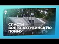 Спасти Волго-Ахтубинскую пойму