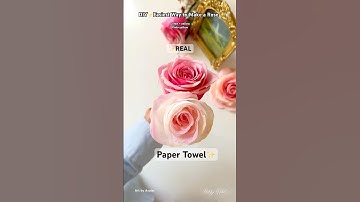 DIY Simple Rose Tutorial | How to Make a Rose using paper towels | Paper paloma roses