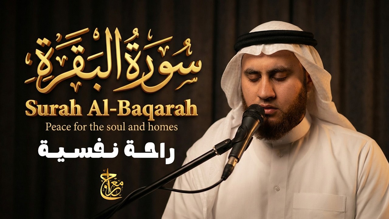 سورة البقرة | راحة نفسية ##عجيبة سكينة القرآن 🔴live QuRaN #معراج قران من الجنة مطر سكينة