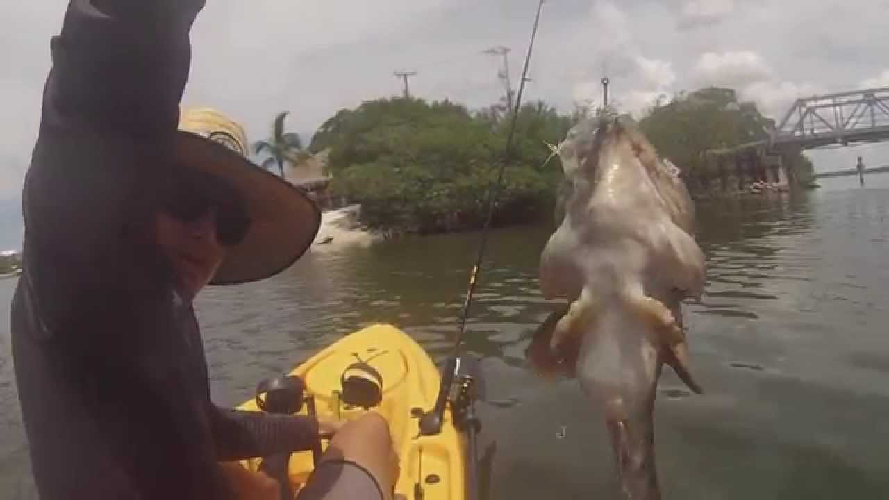 Florida DogFish Florida Kayak Fishing YouTube