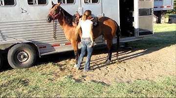 Valley View Ranch - Nip - saddle-ing