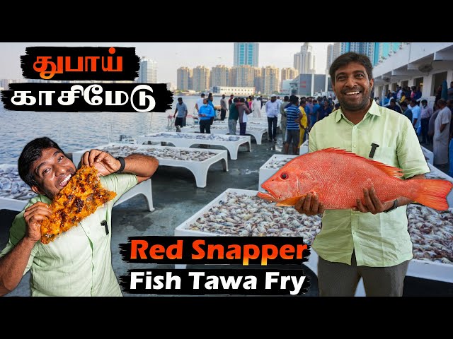 Exploring Ajman Fish Market  Fresh Red Snapper Fish Tawa Fry
