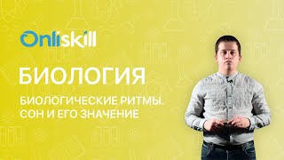 Биология 8 класс. Биологические ритмы. Сон и его значение