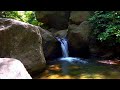 Overthinking Won’t Stop 💧 Tranquil Waterfall And River For Deep Sleep Relief
