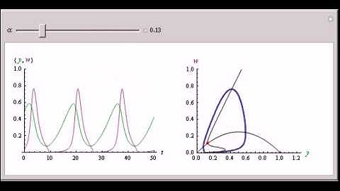 Bifurcation in a Model of Spruce Budworm Populations