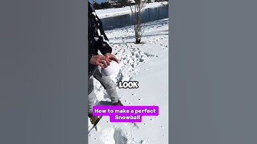 "This Is How You Make the PERFECT Snowball! 🤯 ||      #shorts