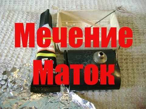 Мечение маток.