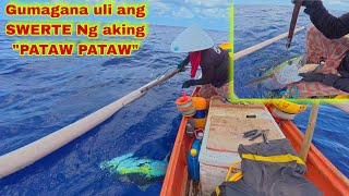 Download Lagu Pacific adv. P634 | Gumagana uli ang SWERTE Ng aking PATAW PATAW na si hotdog MP3 Download Lagu Pacific adv. P634 | Gumagana uli ang SWERTE Ng aking PATAW PATAW na si hotdog MP3