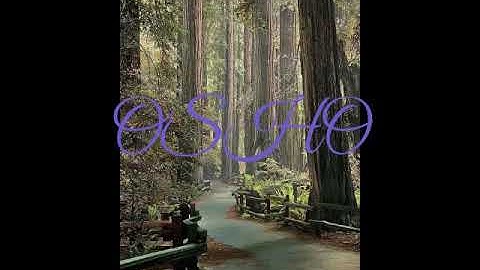 Just be responsible to yourself. By: OSHO