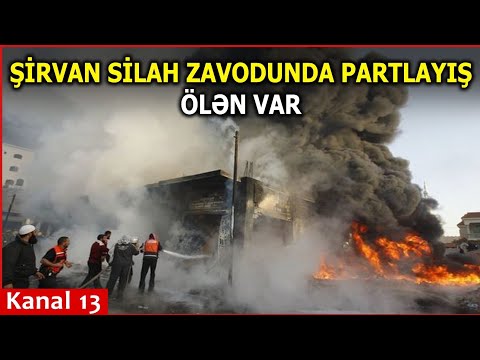 Video: Güclü silah anbarında itlərə icazə verilirmi?