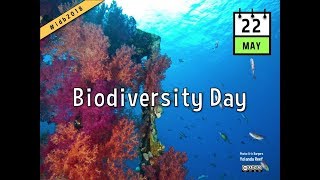 Biodiversity Deep Dive #idb2018