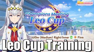 Oguri Training for Leo Again [Umamusume Pretty Derby]
