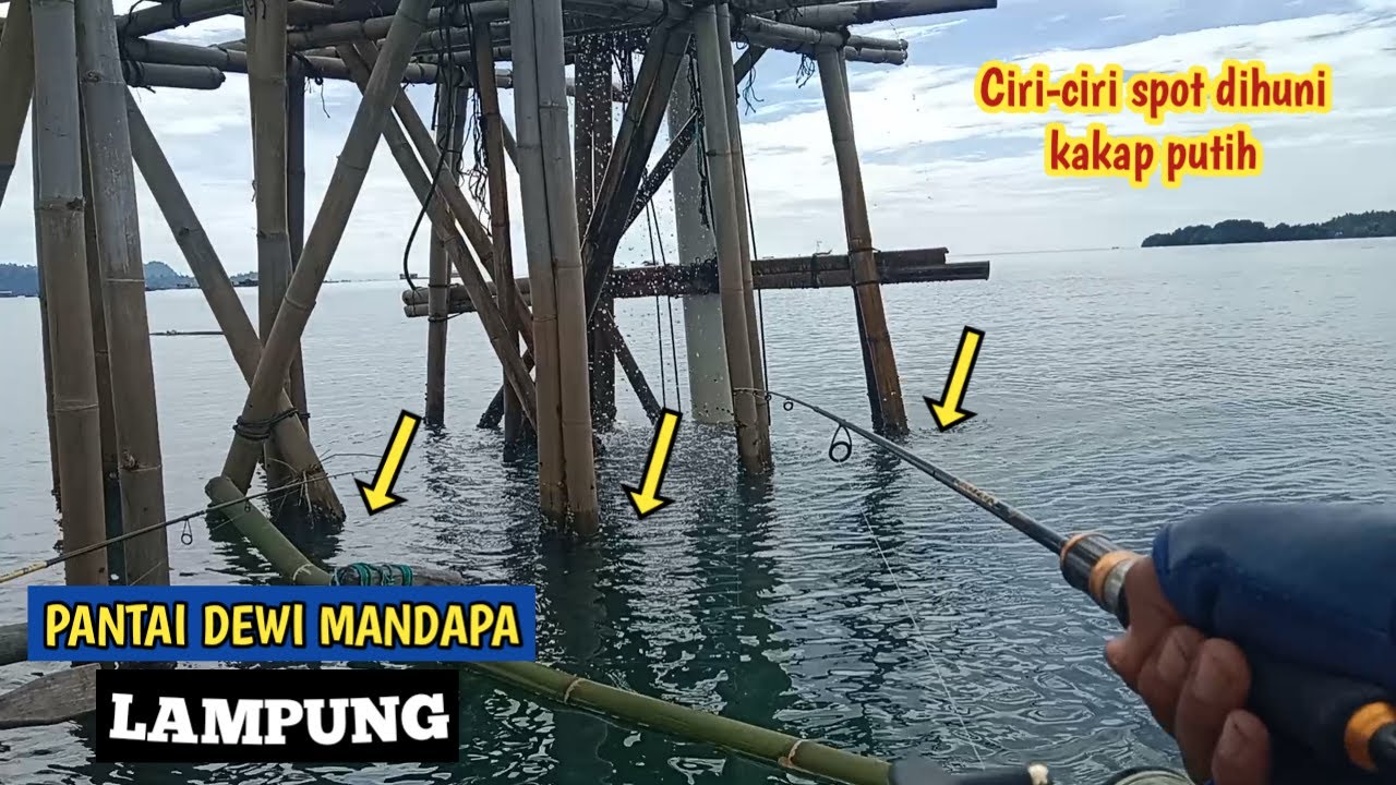 SPOT MANCING KAKAP PUTIH DI LAMPUNG !!! PANTAI DEWI MANDAPA