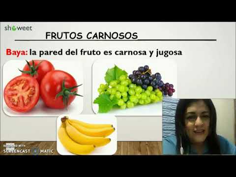 Vídeo: Diferencia Entre Fruta Agregada Y Fruta Múltiple