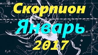 Гороскоп для Скорпиона на январь 2017 года Гороскоп для Скорпиона на январь 2017 года