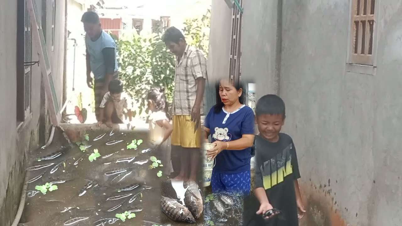 Kuras kolam ikan anak anak senang tangkap ikan