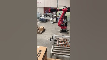 Customized robot hand carton box automatic palletizing machine palletizer robot hand